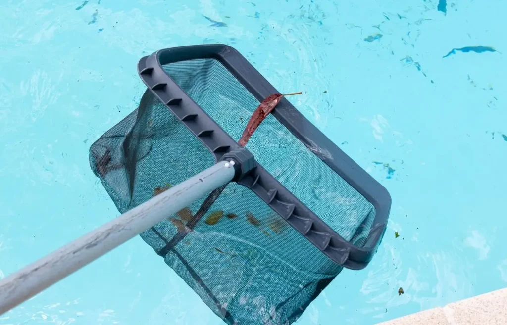 A person using a pool skimmer to clean debris from a dirty swimming pool.