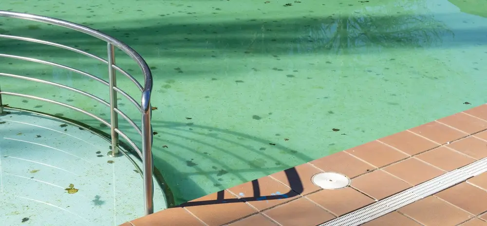 Swimming pool with visible stains and debris on concrete surfaces, highlighting the need for a stain remover.