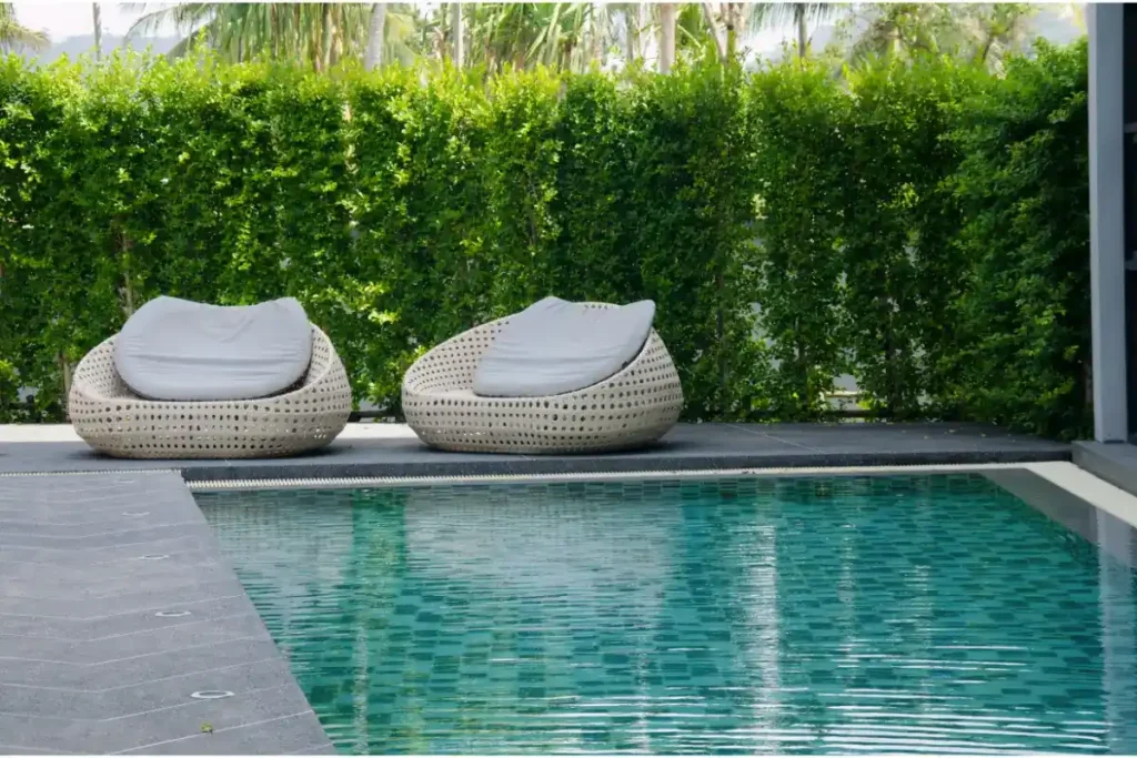 Two round woven loungers with cushions placed next to a beautifully tiled fiberglass pool surrounded by greenery in Florida.