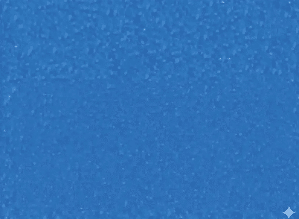 Sun-Polls-Pacfic-shell-colour