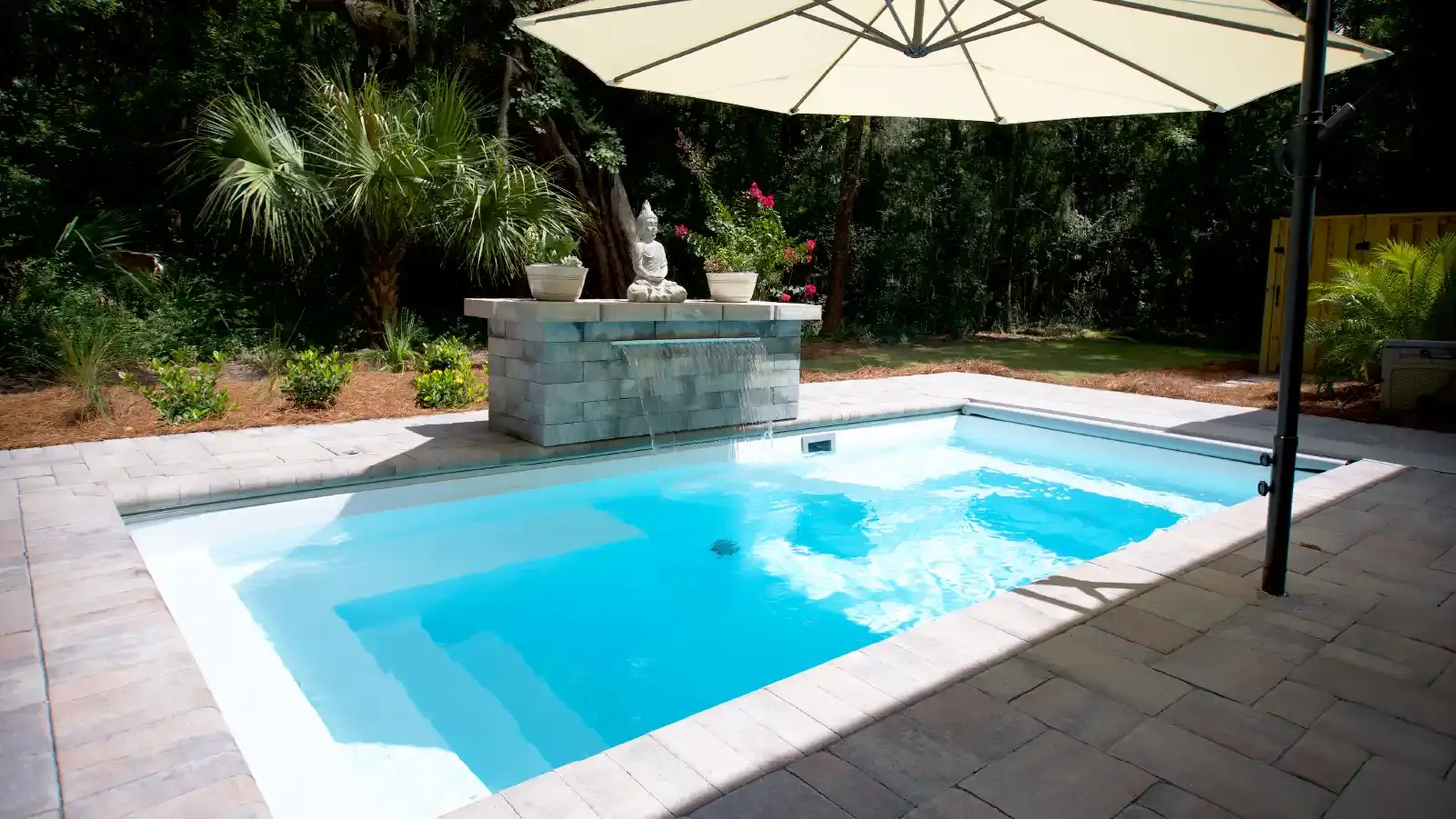 Tyrex Plunge Gallery